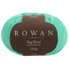 Rowan Bigwool 093