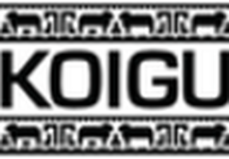 Koigu - Wool